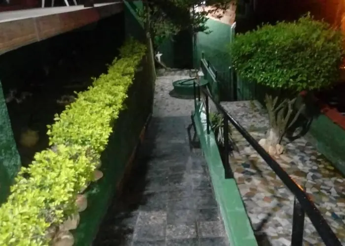 Curta A Terra Dos Dinos Na Casa Verde
