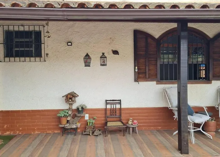 Curta A Terra Dos Dinos Na Casa Verde