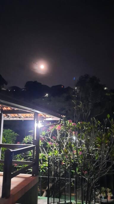 Curta A Terra Dos Dinos Na Casa * Miguel Pereira