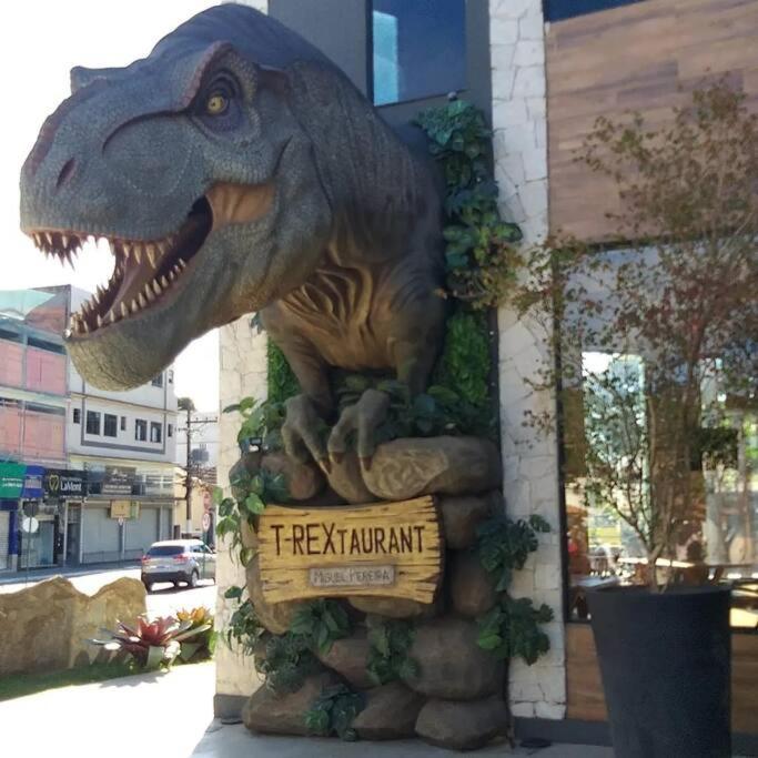 Curta A Terra Dos Dinos Na Casa Miguel Pereira